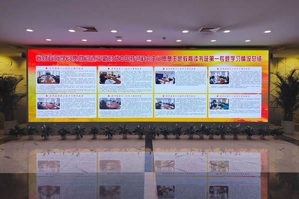 國內(nèi)有哪些COB顯示屏廠家做得比較好的？